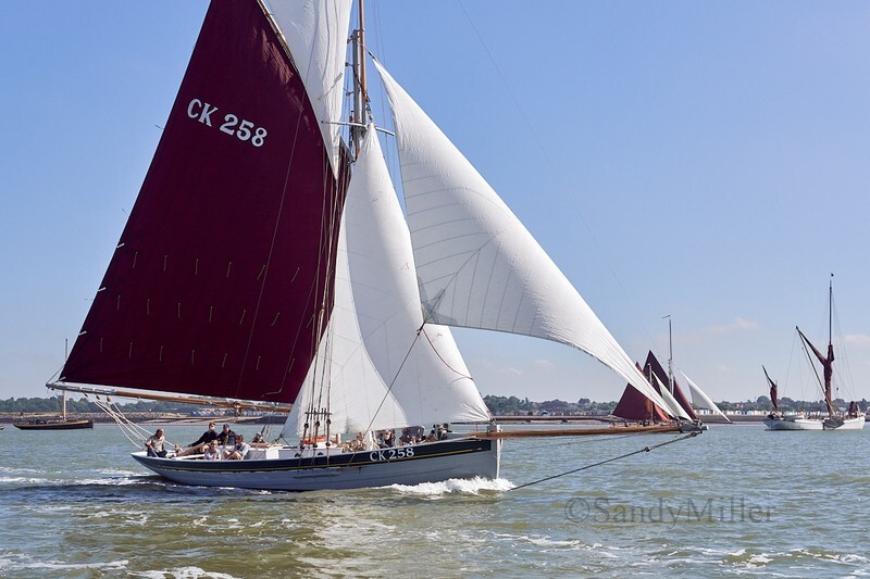 _DSC4381 - Rowhedge Regatta 2018