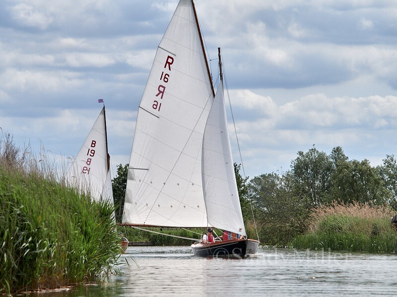 _1019240 - 3 Rivers Race 2025
