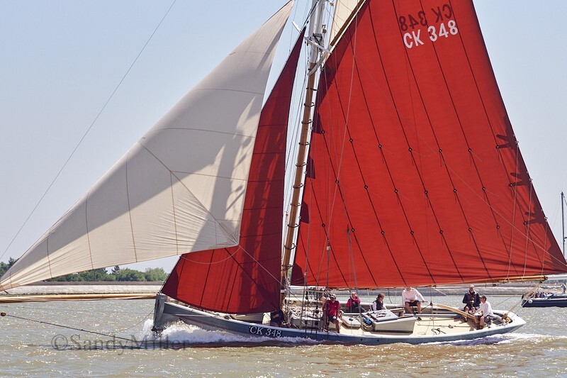_DSC4464 - Rowhedge Regatta 2018