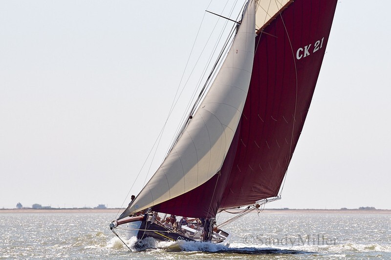 _DSC4473 - Rowhedge Regatta 2018