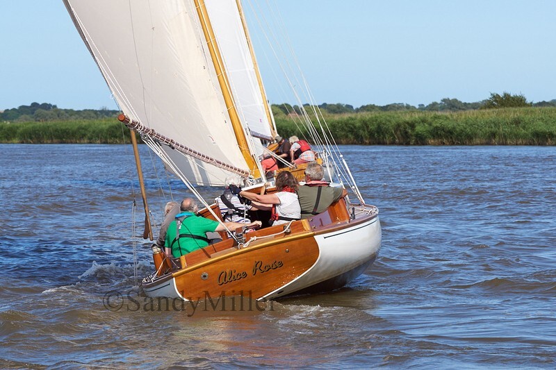 _DSC5496 - YSC Cantley Regatta 2018