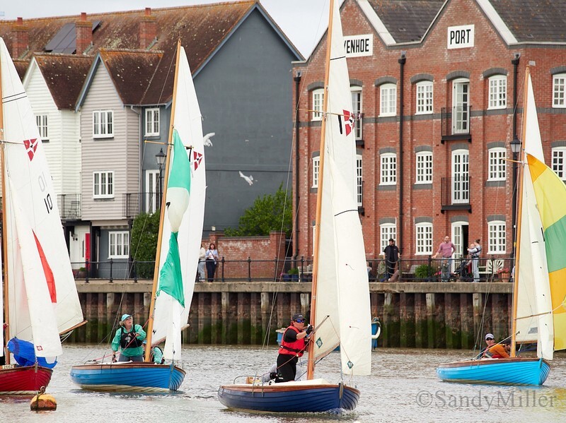 _6223822  - Wivenhoe Regatta 2024
