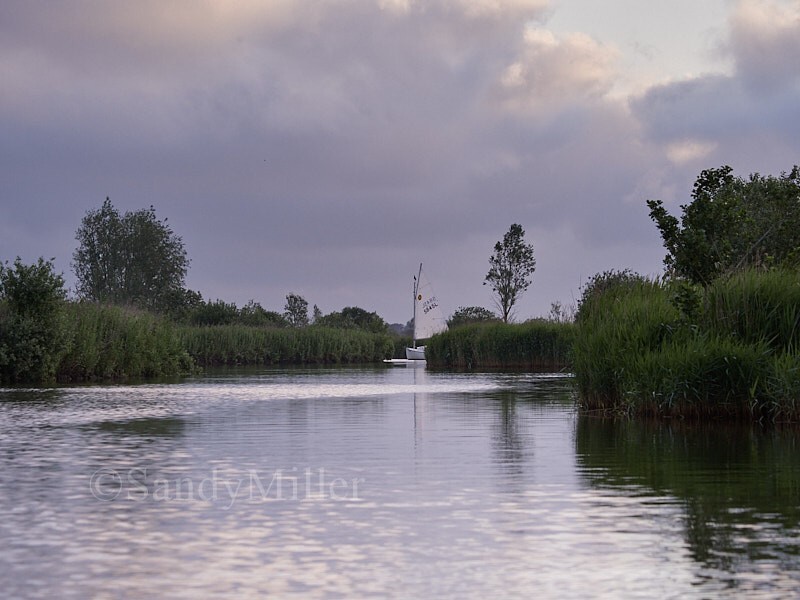 _6023191 - 3 Rivers Race 2024