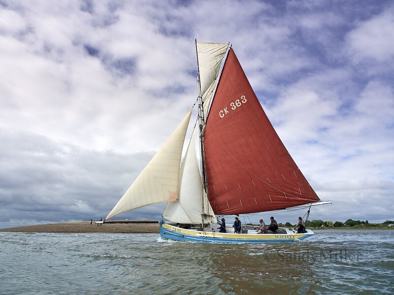 _6220024 - Wivenhoe Regatta 2024
