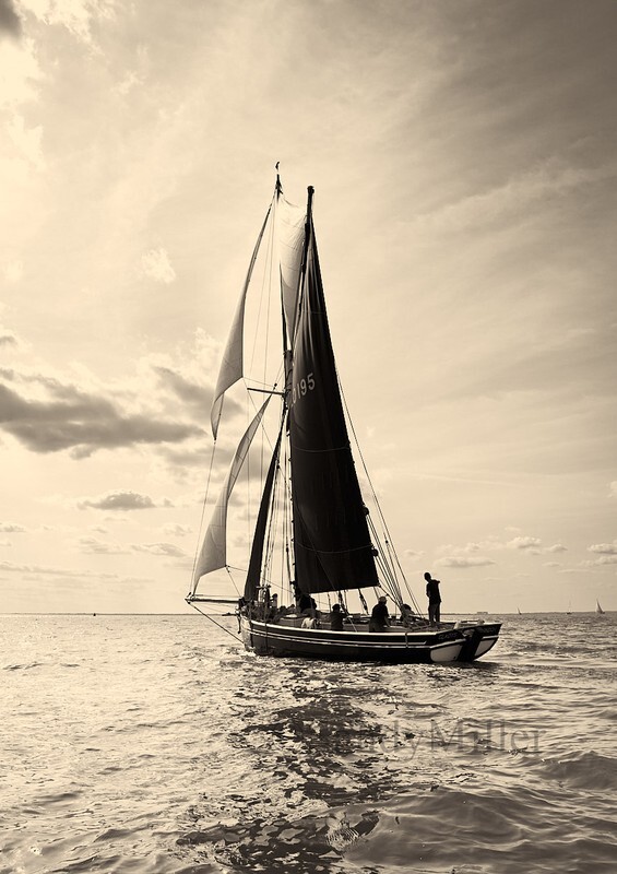 _DSC7377 - Colne Match 2020