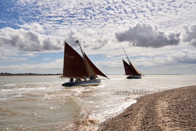 _DSC5238  - Wivenhoe Regatta 2022