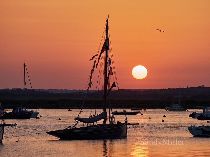 _1016007 - Essex Heritage Workboats at Mersea