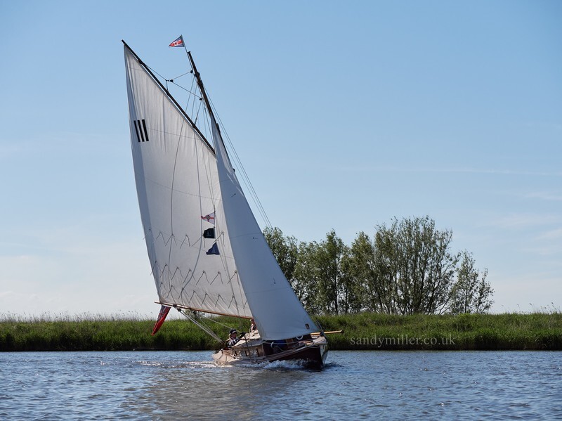 _1003996  - 3 Rivers Race 2021