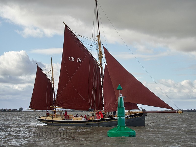 _1015184 - Turkey Race 2025