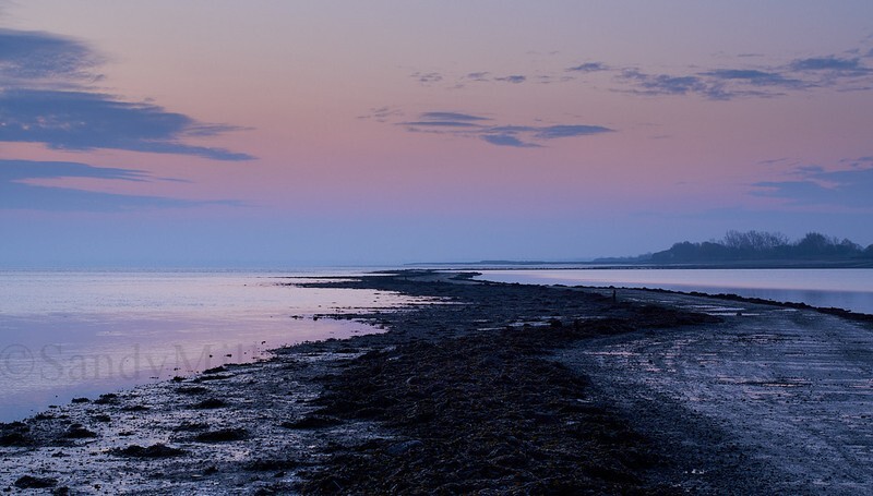 _DSC8820 - Estuary light