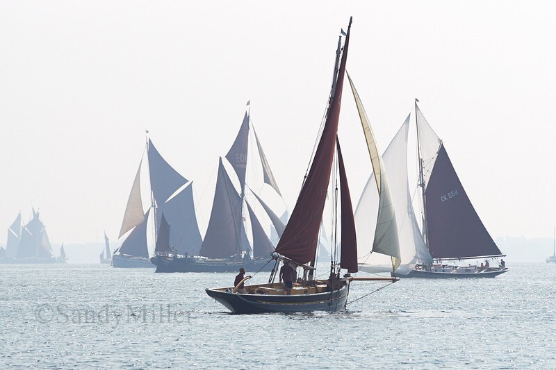 _DSC5013 - Blackwater Smack & Barge Match 2018