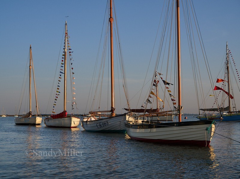 _1010068 - Essex Heritage Workboats at Mersea