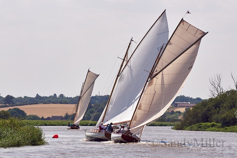 _DSC5719 - YSC Cantley Regatta 2018