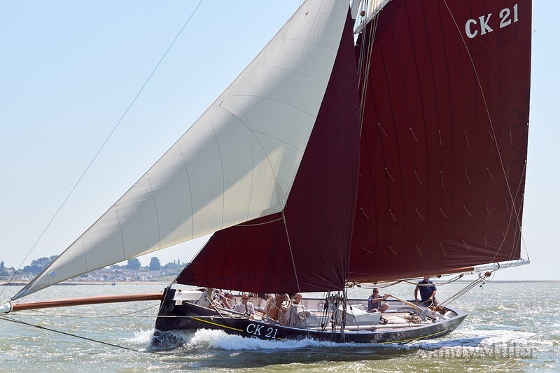 _DSC4479 - Rowhedge Regatta 2018