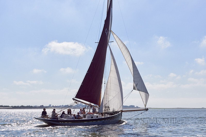 _DSC4388 - Rowhedge Regatta 2018