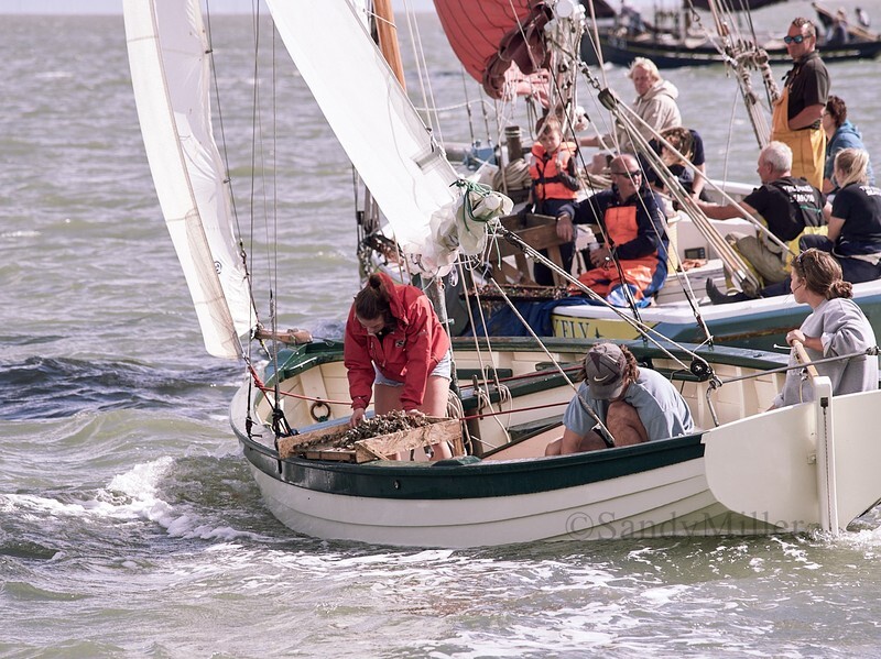  - Mersea Dredging Match 2024