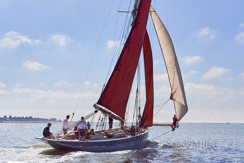 _DSC4379 - Rowhedge Regatta 2018