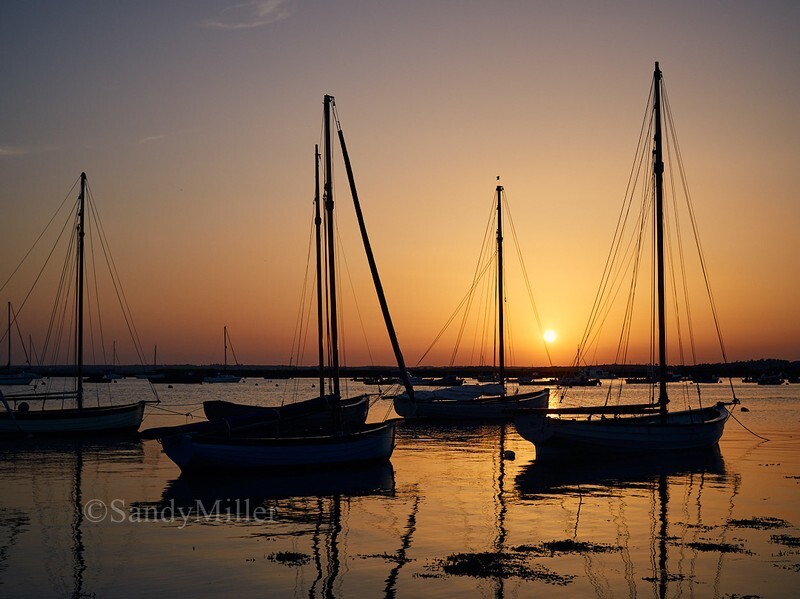 _1010101 - Essex Heritage Workboats at Mersea
