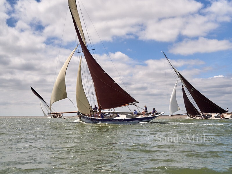 _1010081 - Rowhedge Regatta 2026