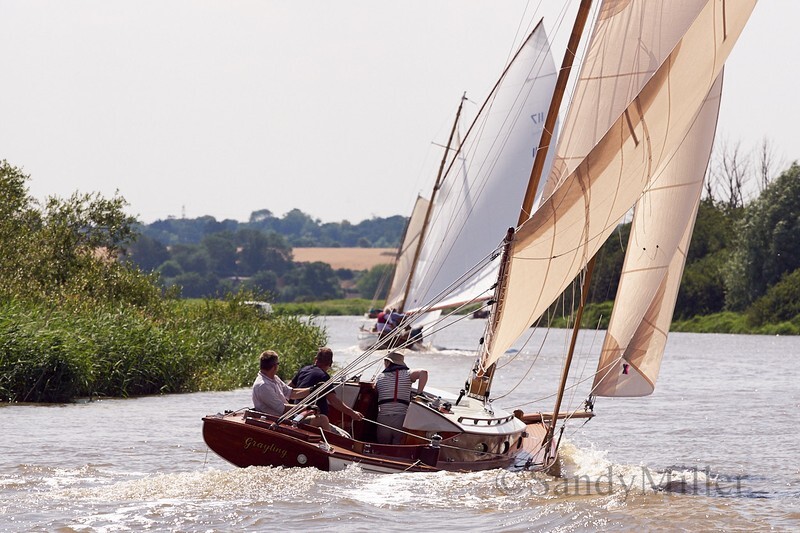 _DSC5770 - YSC Cantley Regatta 2018
