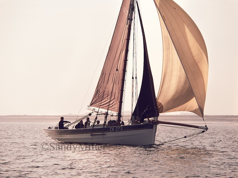 _9167497 - Maldon Regatta 2023