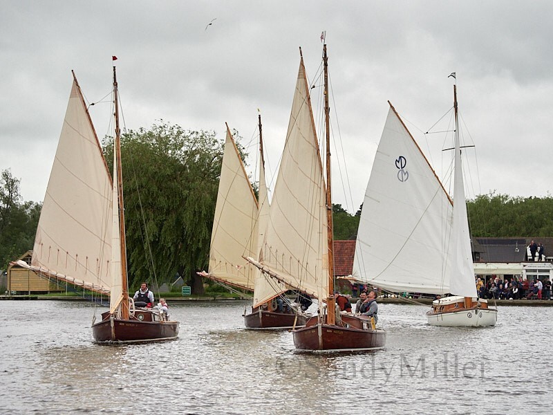 _6012476 - 3 Rivers Race 2024