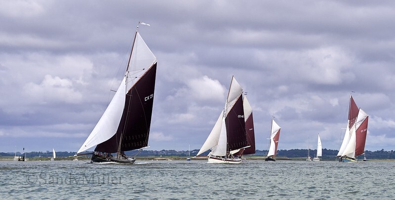 _6223766 - Wivenhoe Regatta 2024