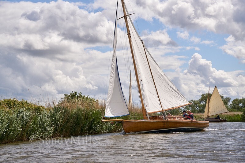 _DSC4728 - 3 Rivers Race 2022