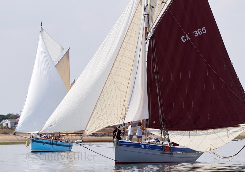 _DSC5916 - OGA East Coast Race 2018