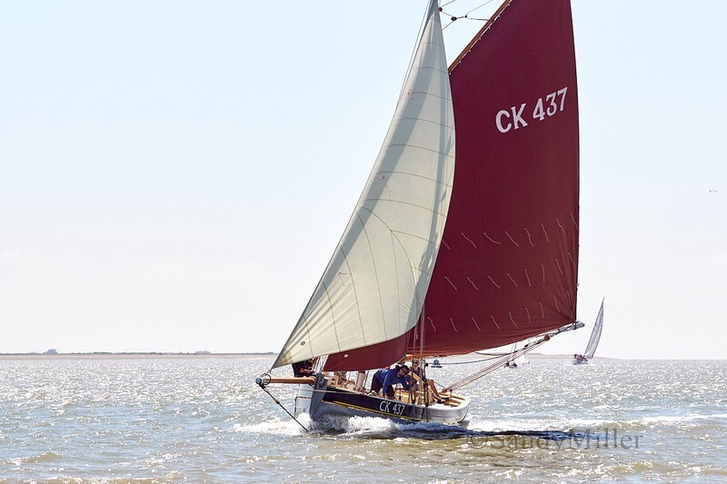 _DSC4448 - Rowhedge Regatta 2018