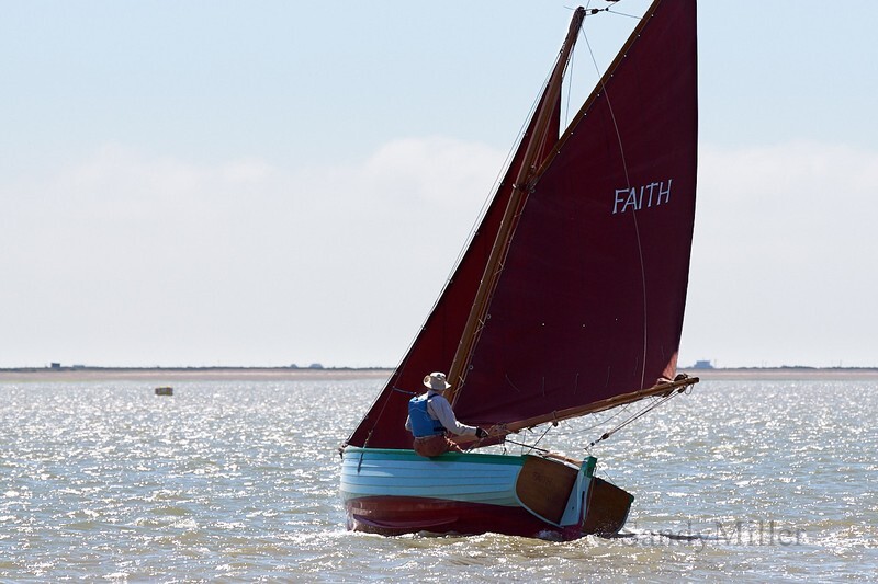 _DSC4420 - Rowhedge Regatta 2018