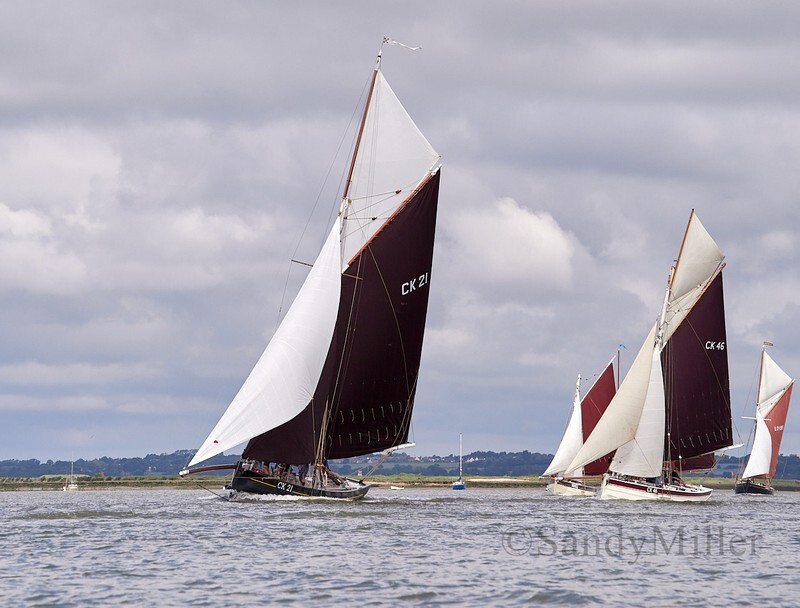 _6223765  - Wivenhoe Regatta 2024