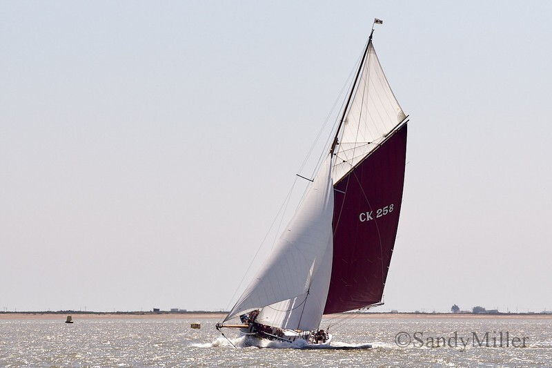 _DSC4492 - Rowhedge Regatta 2018