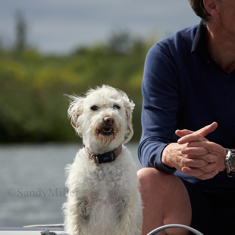 _1012757 - Barton Regatta 2025