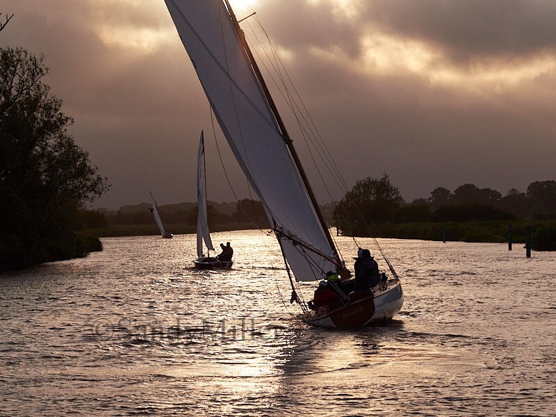 _6013140 - 3 Rivers Race 2024