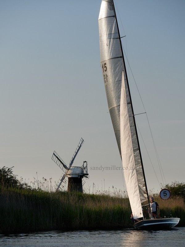 _1004074  - 3 Rivers Race 2021