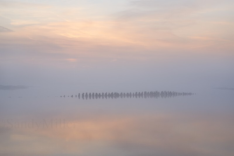 _DSC0951 - Estuary light