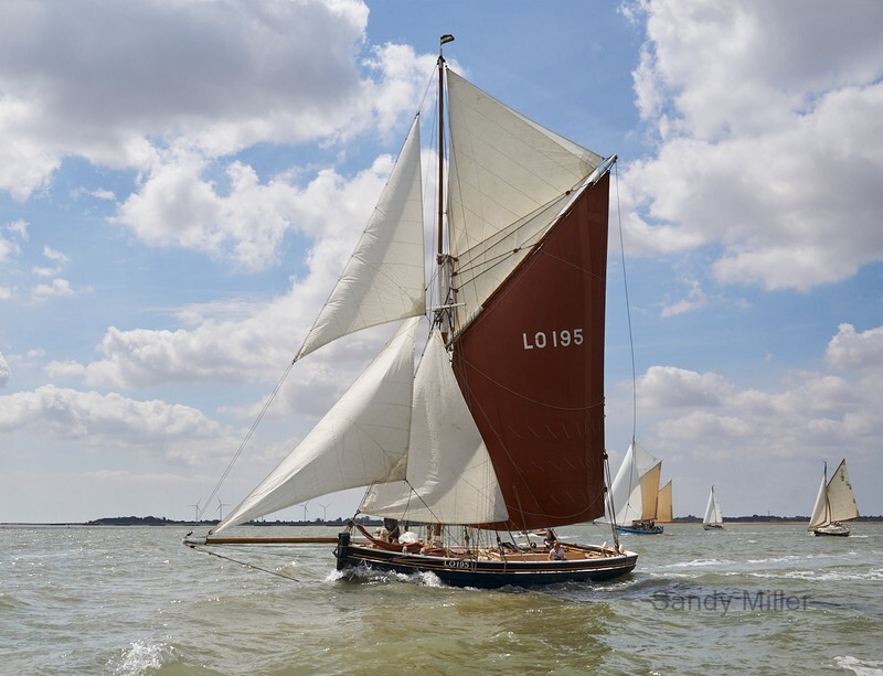 _DSC5746  - OGA East Coast Race 2022