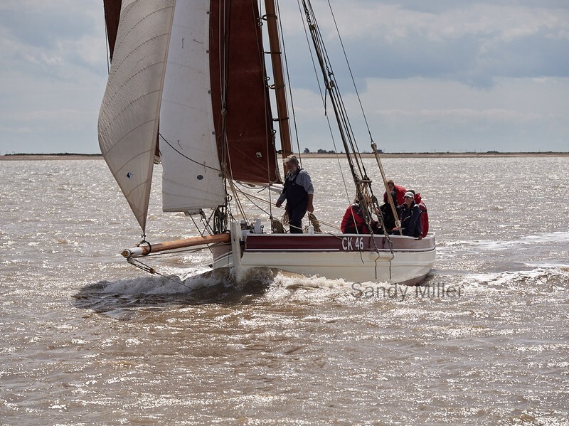 _1019870  - Wivenhoe Regatta 2022