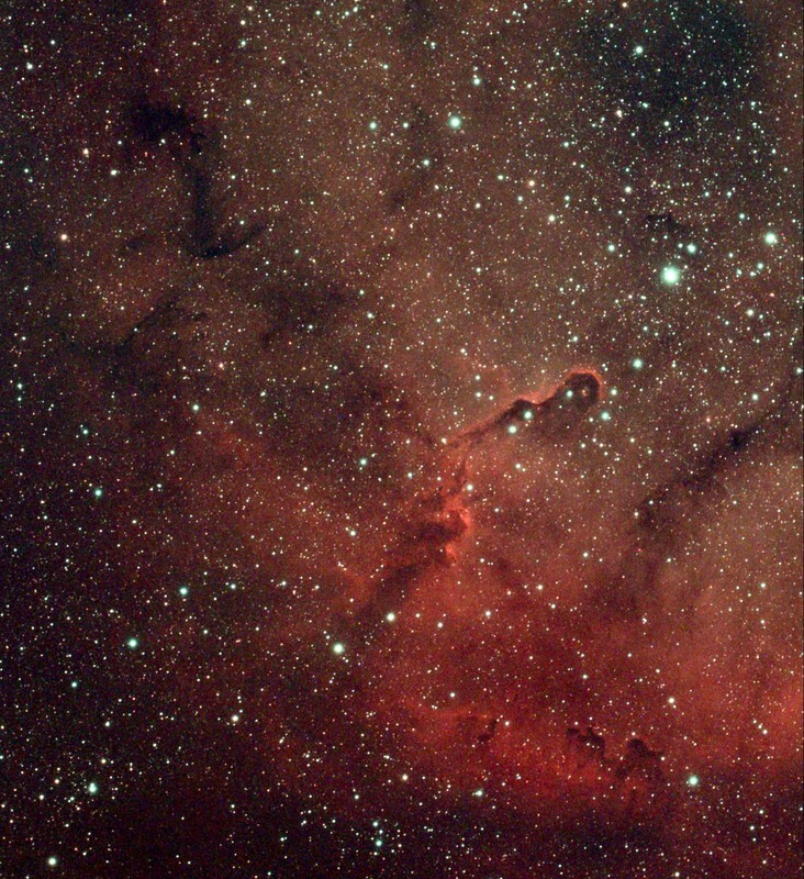 Elephant Trunk Nebula - Nebulae