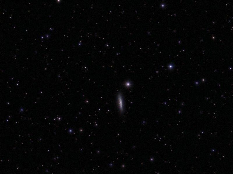 NGC 6503 - Galaxies