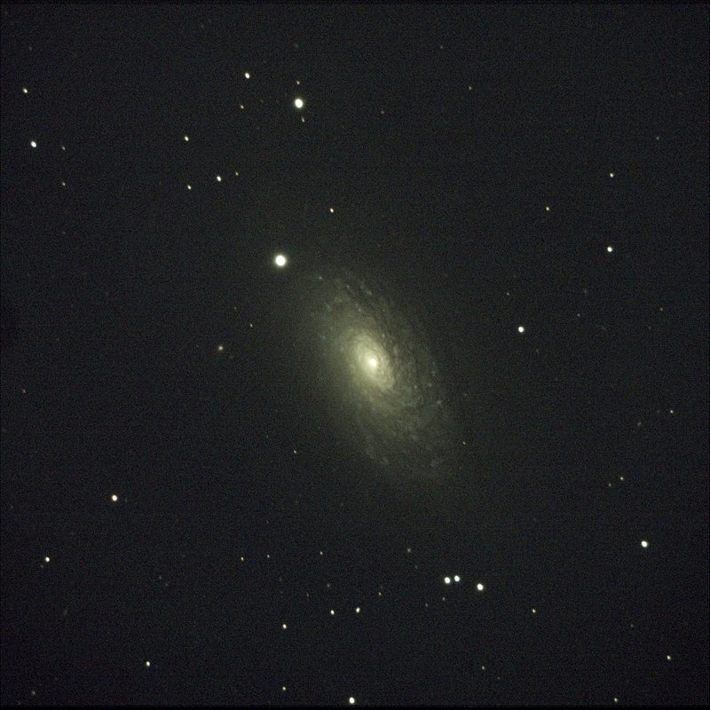 Sunflower Galaxy by Andy F - Galaxies