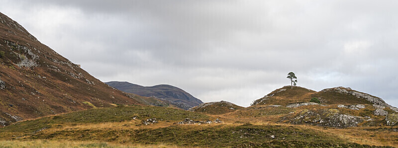 Glen Affric-6 - Glen Affric