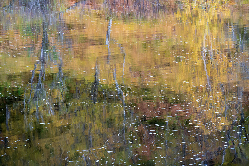 Glen Affric-10 - Glen Affric