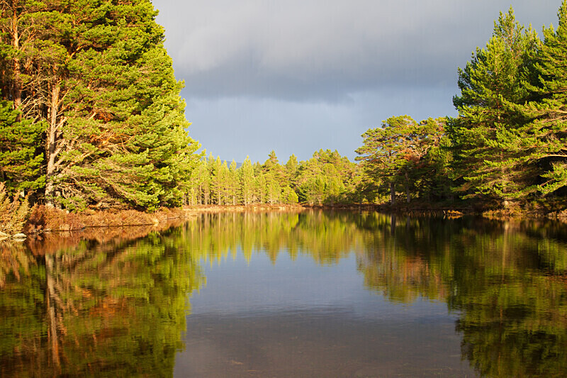 aviemore-28 - Aviemore Area