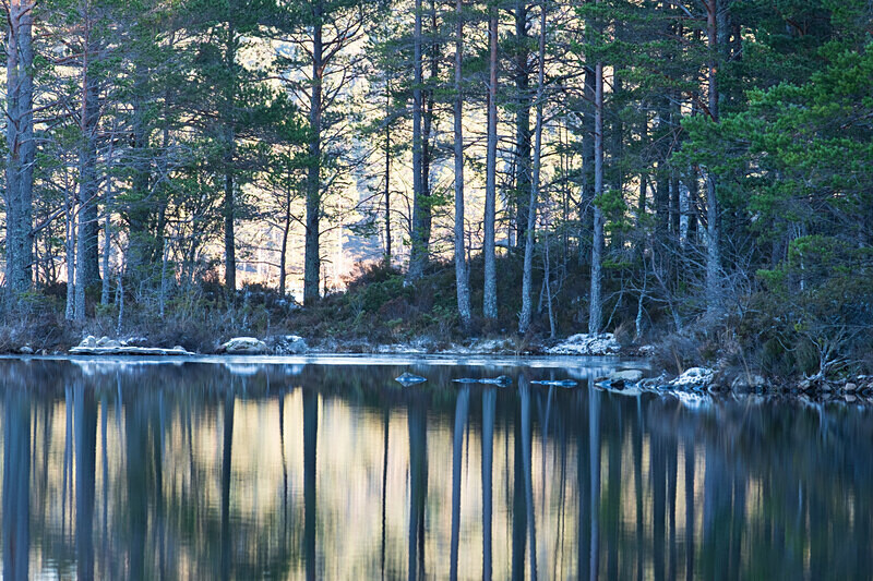 Aviemore-38 - Aviemore Area