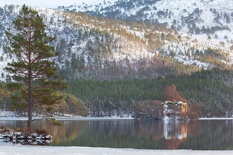 aviemore-24 - Aviemore Area