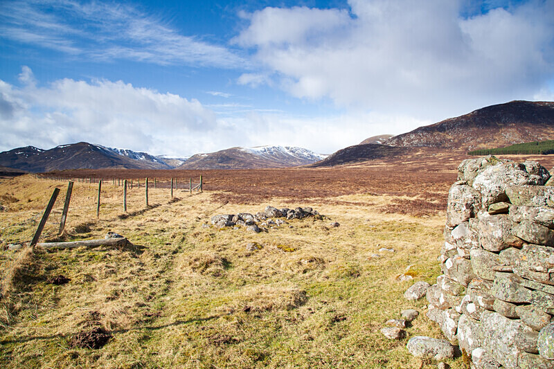 aviemore-17 - Aviemore Area