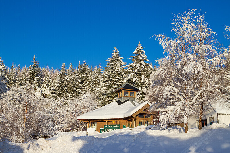 aviemore-27 - Aviemore Area