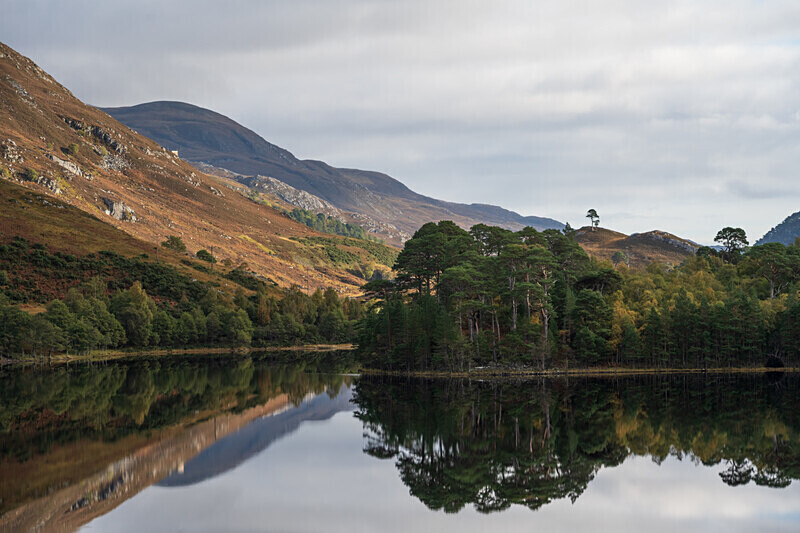 Glen Affric-2 - Glen Affric